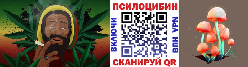 Псилоцибиновые грибы ЛСД купить наркотик Гдов